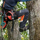 Arborist Waist Pants, Technical Extreme 2