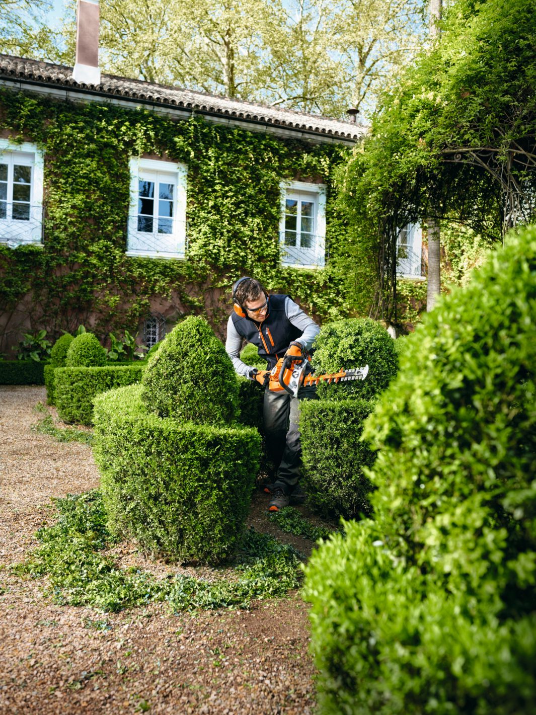 Hs 56 deals stihl hedge trimmer